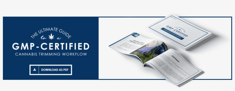 Gmpdownload-blog - Blog, transparent png