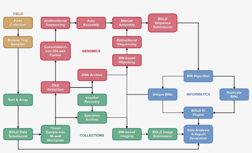 The Whole Program Moves Forward Through Collaborative - Electric Blue, transparent png