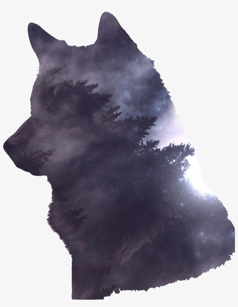 Wolf-2741085 1920 - Transparent Wolf Png, transparent png