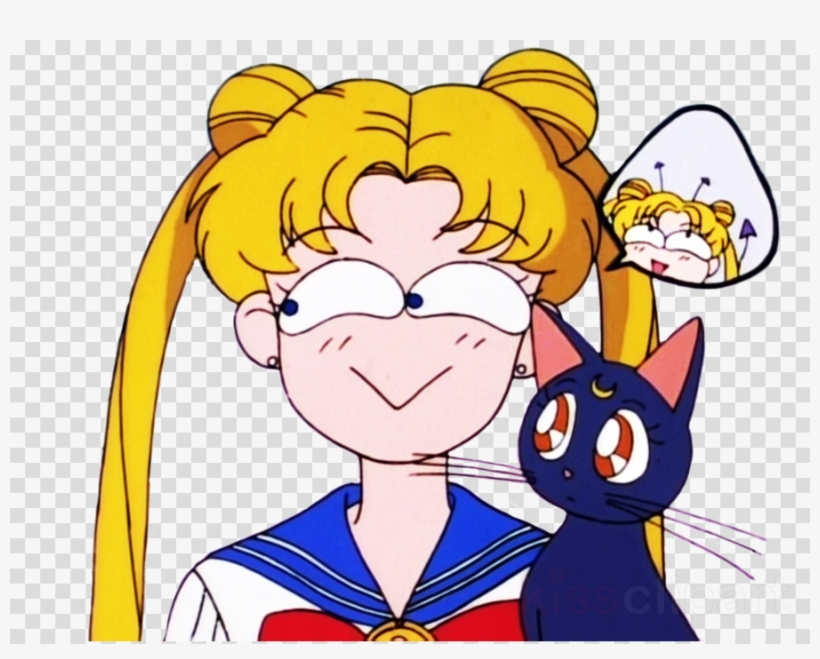 Sailor Moon Png Clipart Sailor Moon Chibiusa Tuxedo - Sailor Moon Funny Face, transparent png