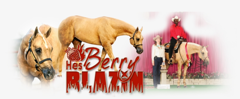 Hes Berry Blazin - Stallion, transparent png