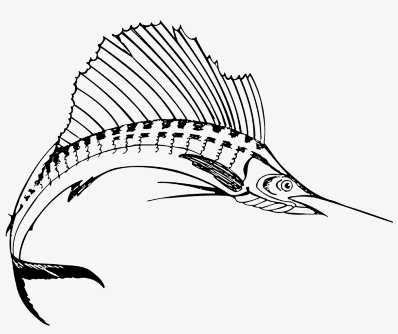 Sport Fishing Around Grenada - Sailfish Black And White, transparent png