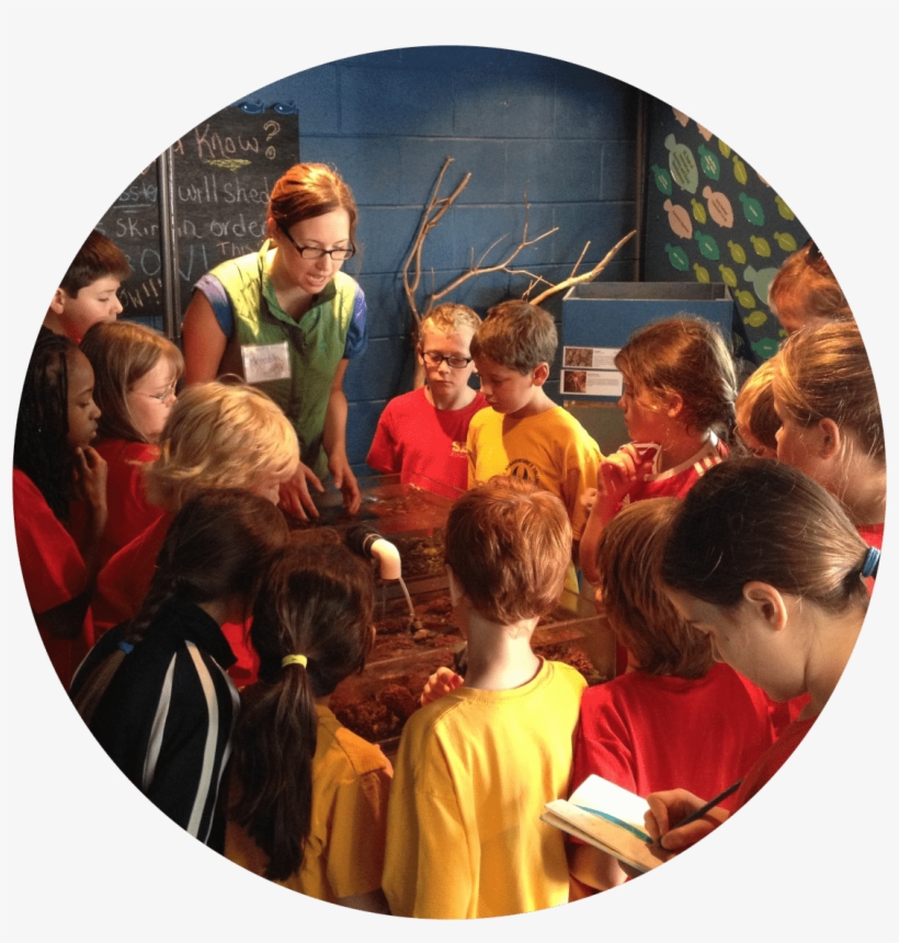 Weekly Themes - Circle, transparent png