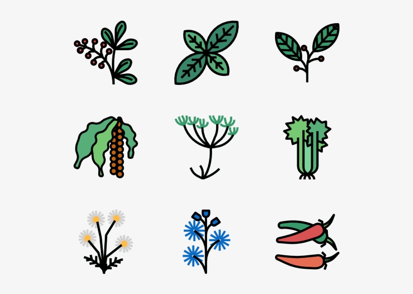 Herb, transparent png