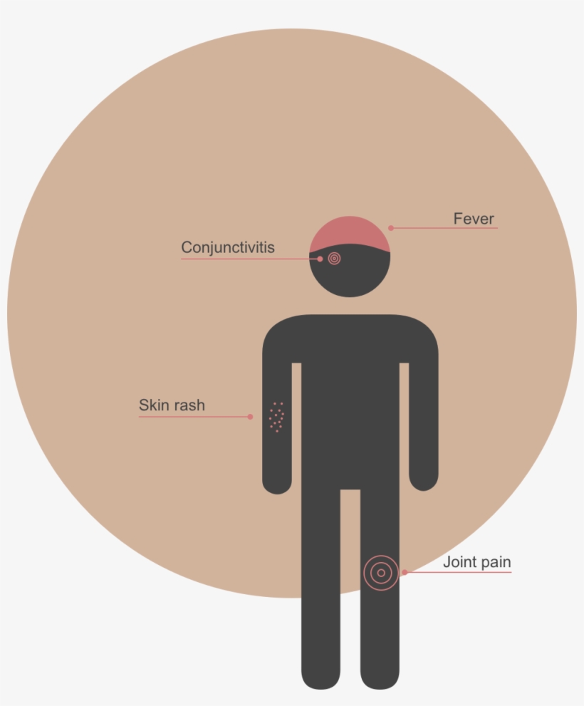 The World Health Organization Has Labeled The Zika - Circle, transparent png