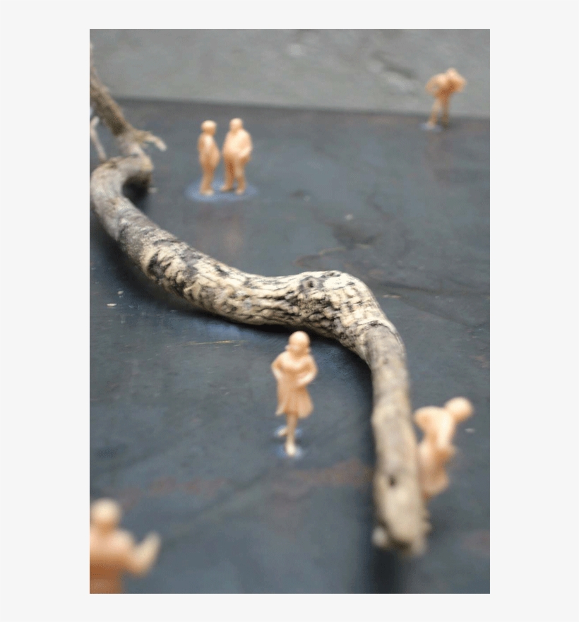 Maqueta De Playa - Driftwood, transparent png