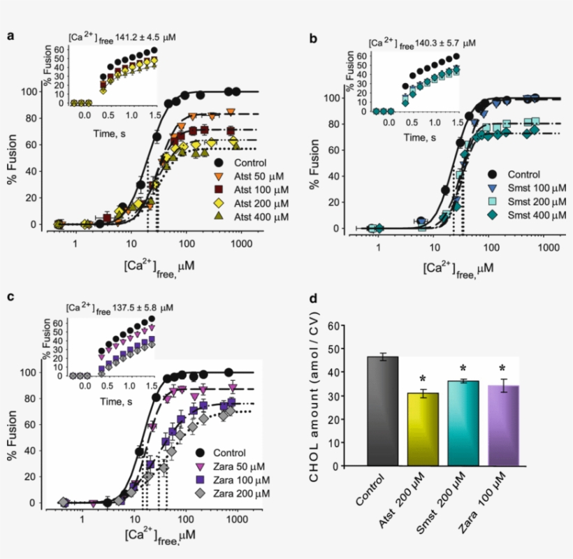 Chol Lowering Agents Inhibit Cv Cv Fusion - Common Fig, transparent png