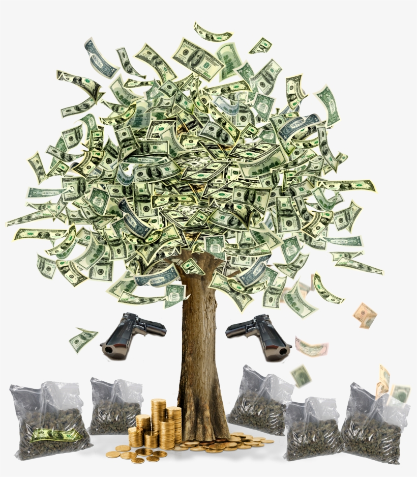 Sss - Money Tree Images Hd, transparent png