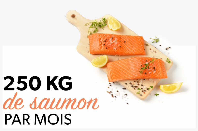 250 Kg De Saumon Par Mois - Ride More Tablet - Ipad Mini 1 And 2 (horizontal), transparent png