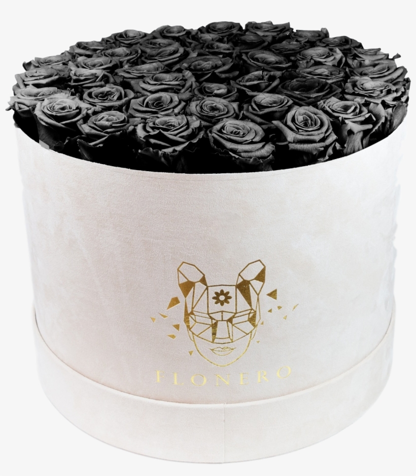 La Vita - Pretty In Black, transparent png