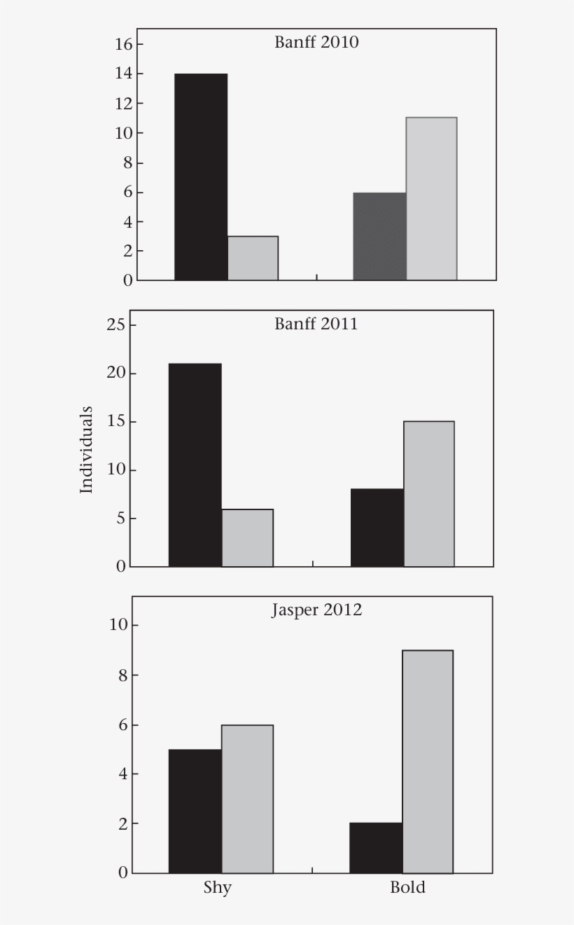 Population Proportions Of Migrant And Resident (grey - Sample Size Determination, transparent png
