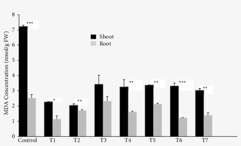 Mda Concentration In The Shoots And Roots (gray Bars) - Transgene, transparent png