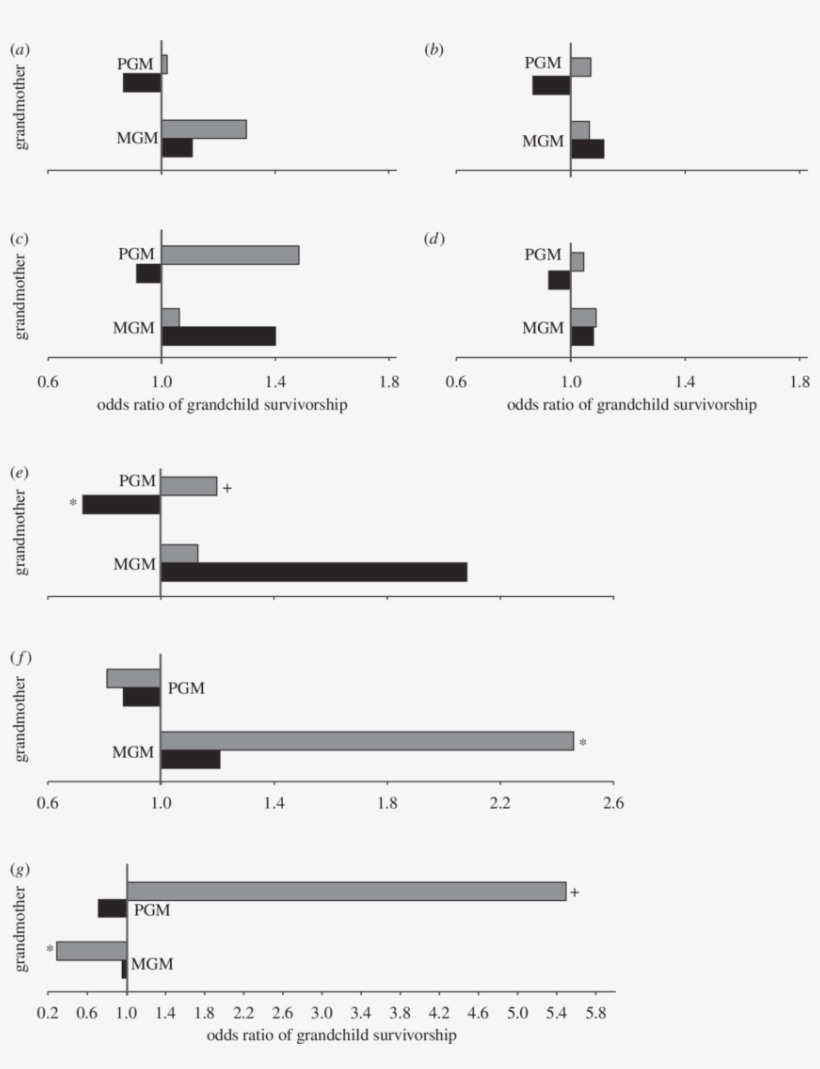 Grey Bars, Girls - Grandchild, transparent png