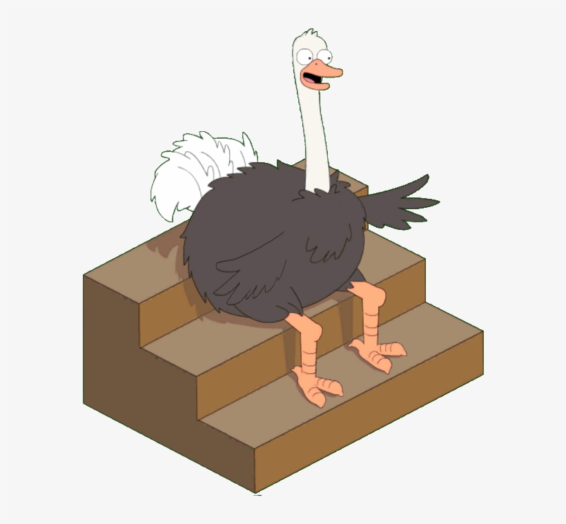 Live Studio Ostrich - Turkey, transparent png