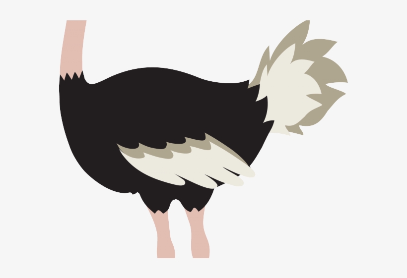 Ostrich Clipart Animated - Ostrich Bird Clipart, transparent png