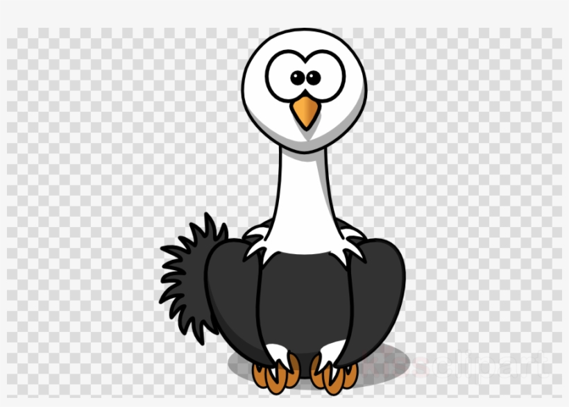 Cartoon Ostrich Png Clipart Common Ostrich Clip Art - Cartoon Ostrich Rectangle Magnet, transparent png