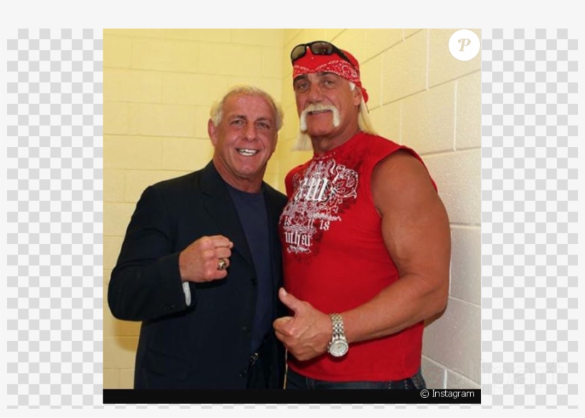 Ric Flair Clipart Ric Flair Hulk Hogan Professional - Hulk Hogan Ric Flair, transparent png