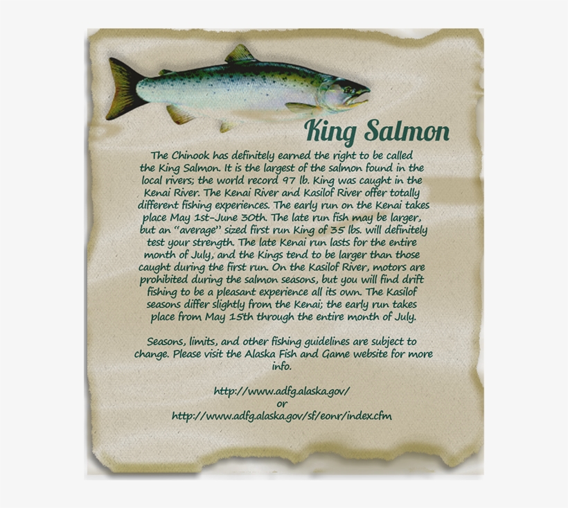 Sockeye Salmon, transparent png