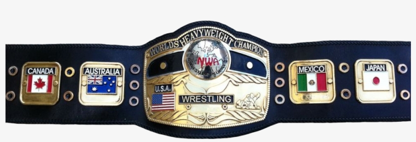 Nwa World Heavyweight Championship 980x326 Png Download Pngkit