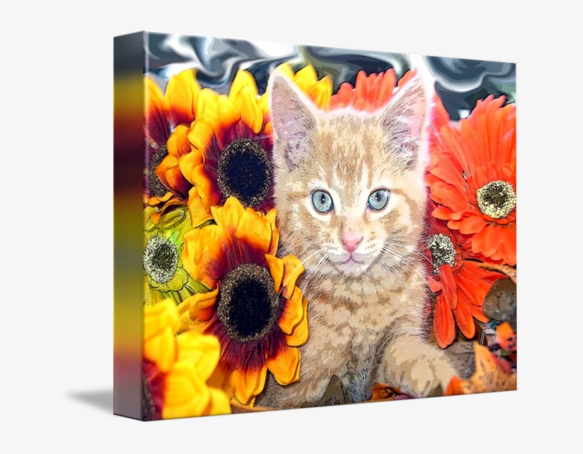 Sunflower Kitty Kitten Blue Portrait By Chantal - Zazzle Orange Katzen-kundenspezifisches Propark-brett, transparent png
