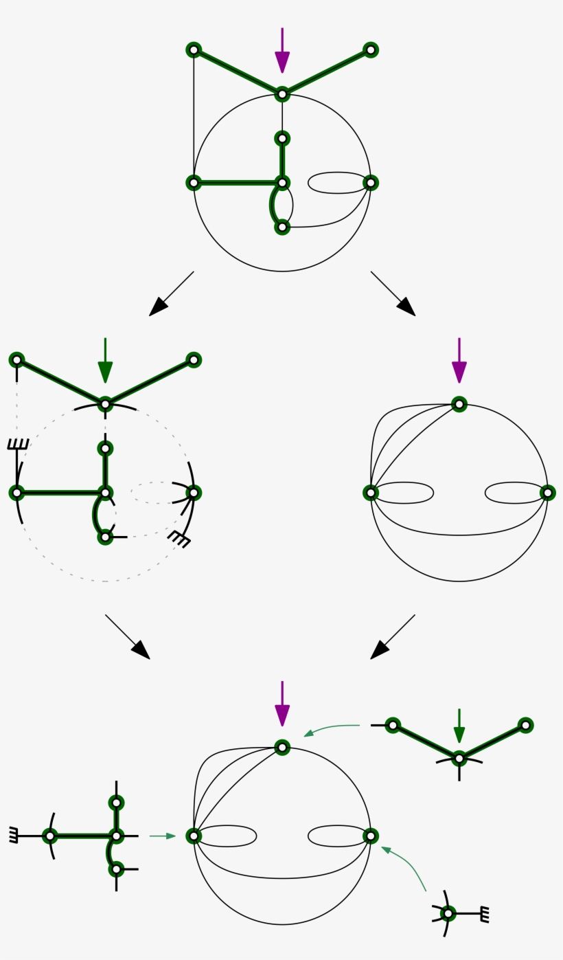 We Analyze The Phase Transition At U=0 In Terms Of - Circle, transparent png
