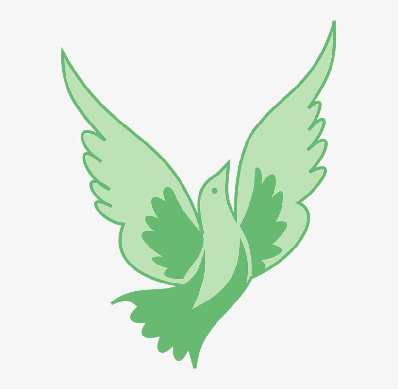 Site Image, transparent png