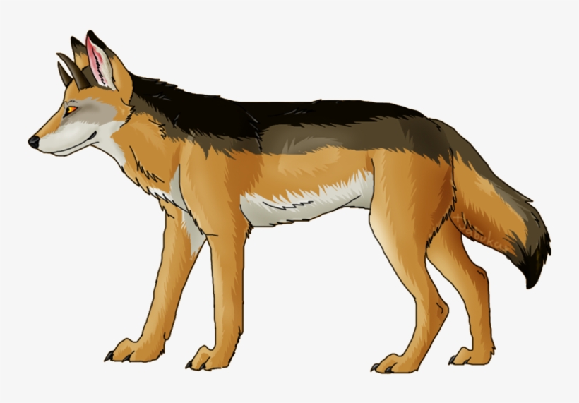 Jackal, Coyote Png, Download Png Image With Transparent - Wolf, transparent png