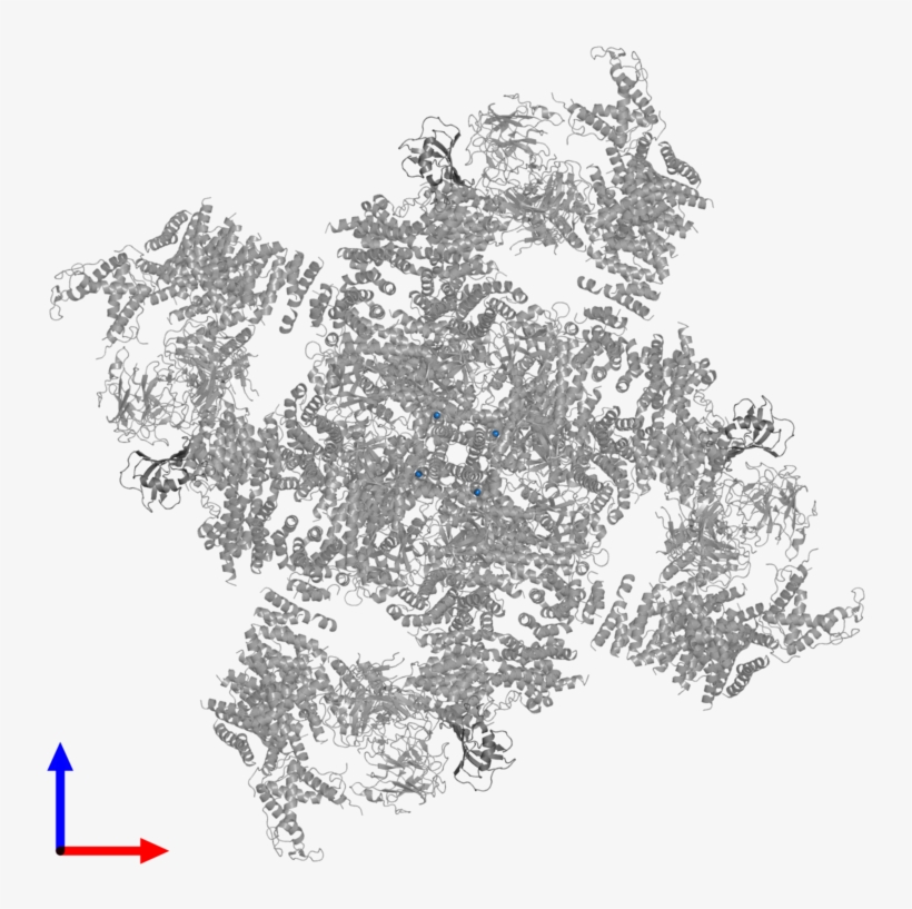 <div Class='caption-body'>pdb Entry 3j8h Contains 4 - Christmas Tree, transparent png
