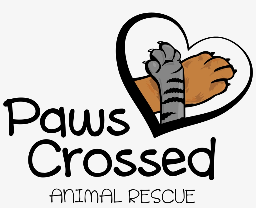 Paws Crossed Animal Rescue, transparent png