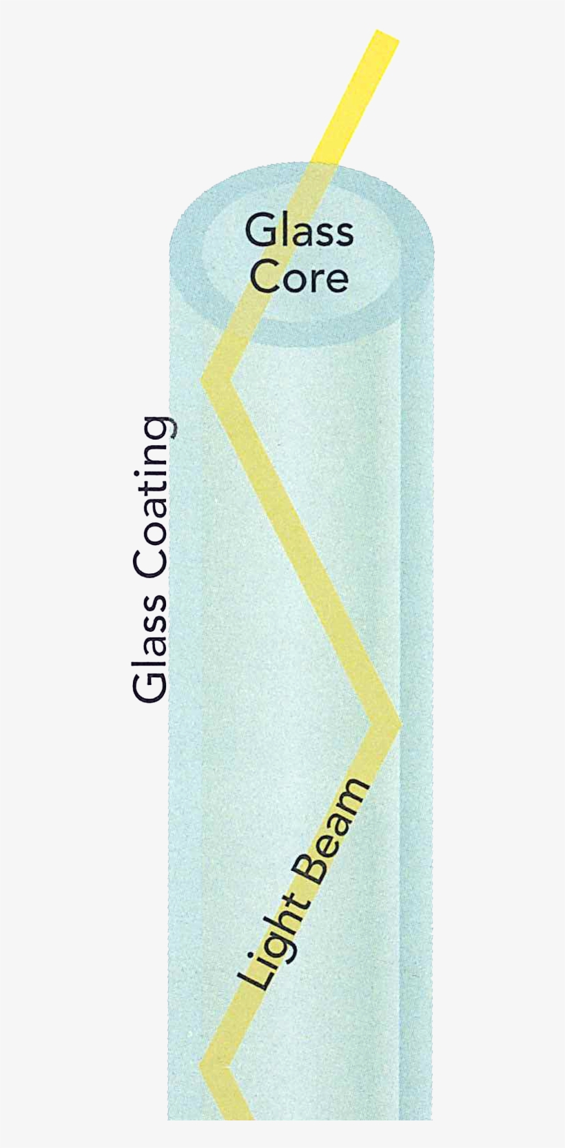 Imaging Trying To Swallow A Rigid Tube Filled With - Parallel, transparent png