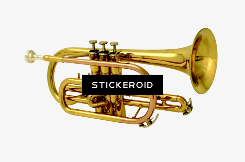 Brass Band Instrument - Cornet, transparent png