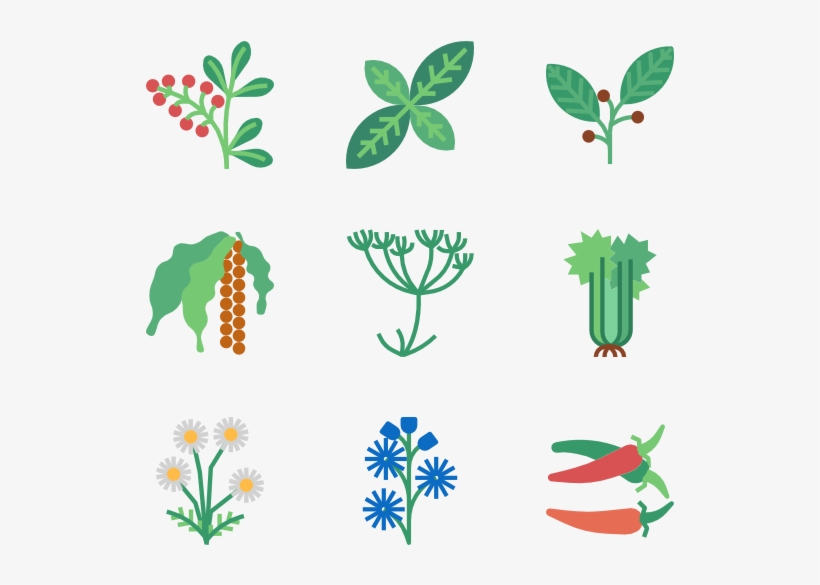 Herb, transparent png