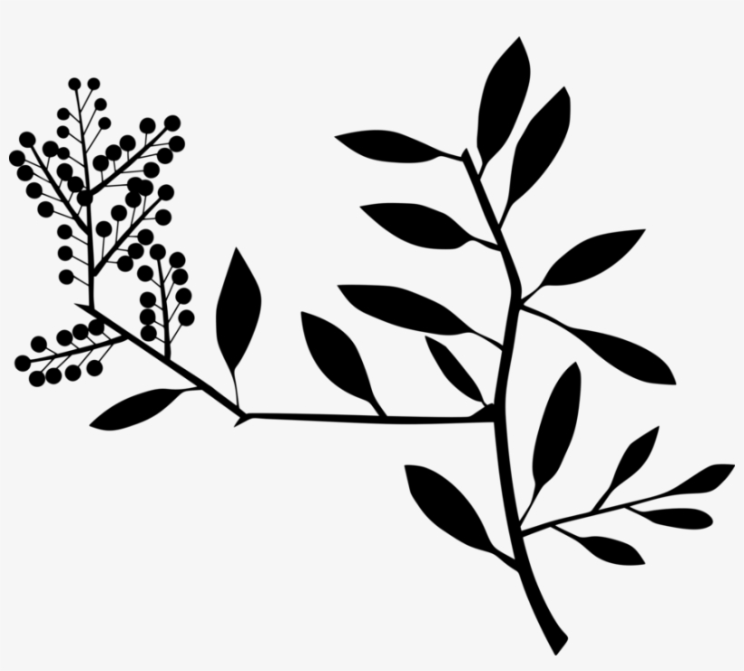 Computer Icons Plant Stem Vascular Plant Houseplant - Kissen Loverly Grün-blätter Und Beeren Throw, transparent png