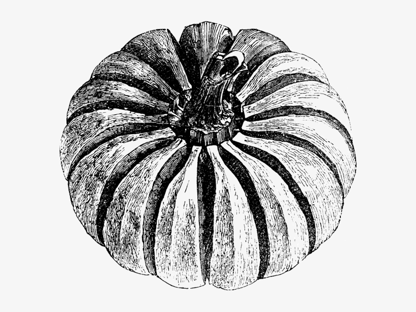 Comté Cheese, Guacamole, Watercress And Jalapeños Mayonnaise - Vintage Tag Pumpkin Seed, transparent png