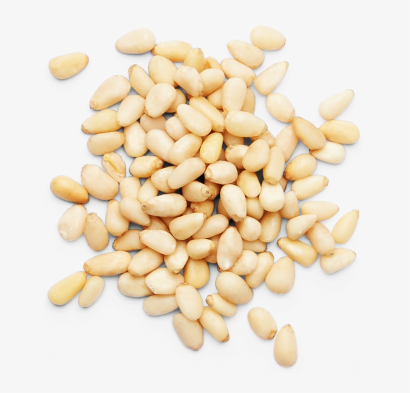 Pine Nuts Png Clip Freeuse Stock - Kidney Beans, transparent png