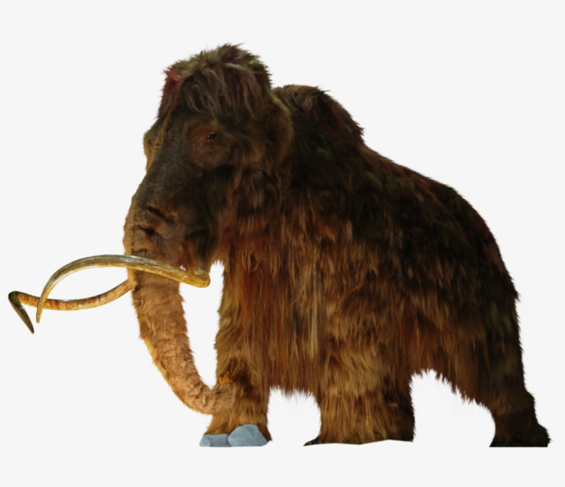Mammoth - Woolly Mammoth, transparent png