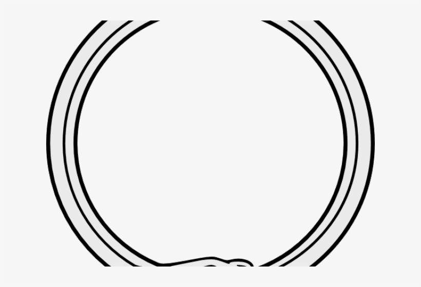 Drawn Serpent Snake Png - Full Metal Alchemist Circulo, transparent png