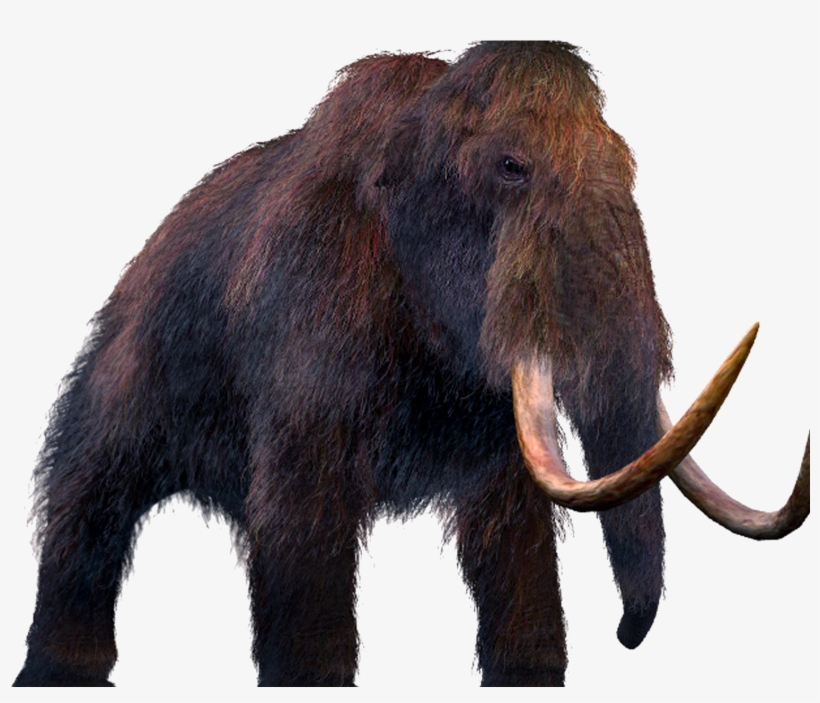This Is A Mammoth Should We Bring Extinct Animals Back - Drawing Of Dinosaur Elephant, transparent png