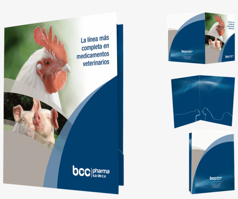 Carpetas - Brochure, transparent png