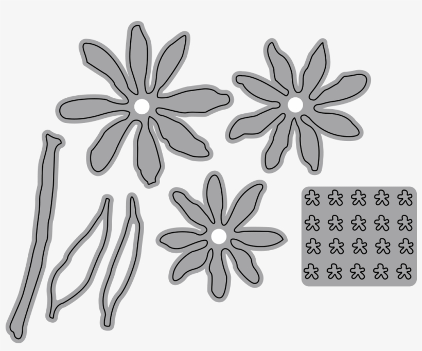 Shasta Daisy Garden Notes - Illustration, transparent png