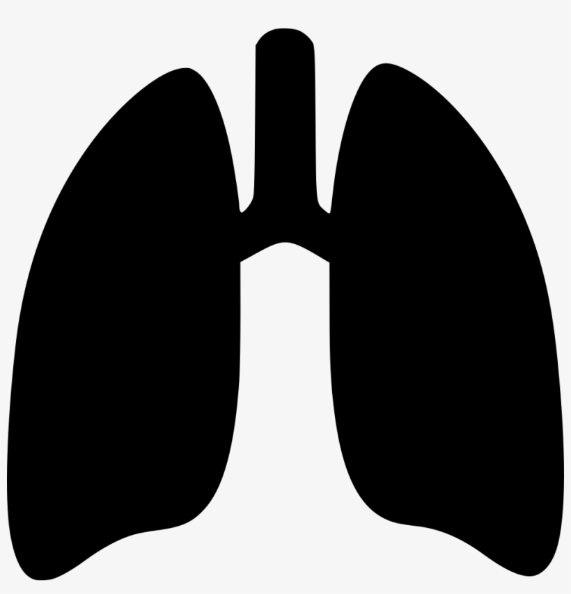 Picture Free Stock Clipart Red Cute Borders Vectors - Breath Icon, transparent png