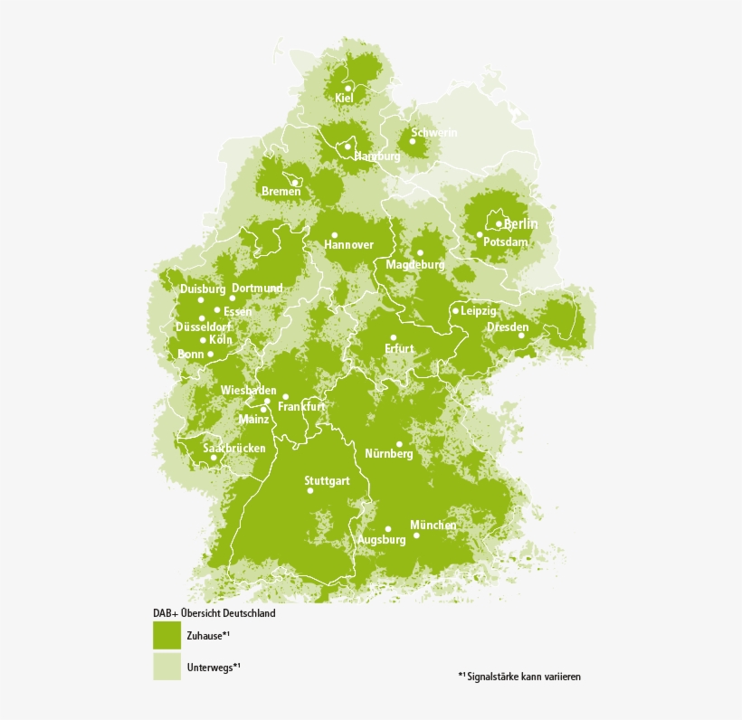 Click To Enlarge - Tree, transparent png
