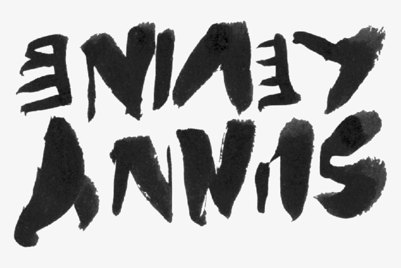 Sunny Levine Upside Down - Drawing, transparent png