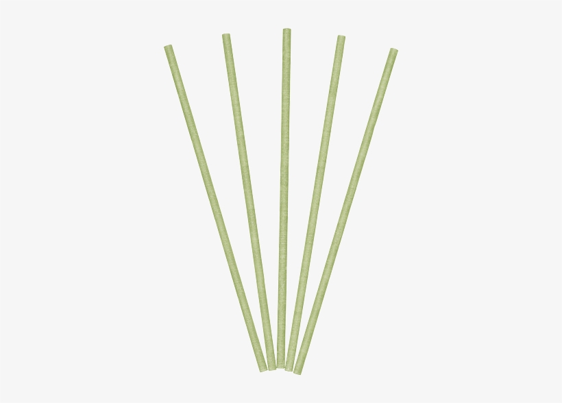Asparagus, transparent png