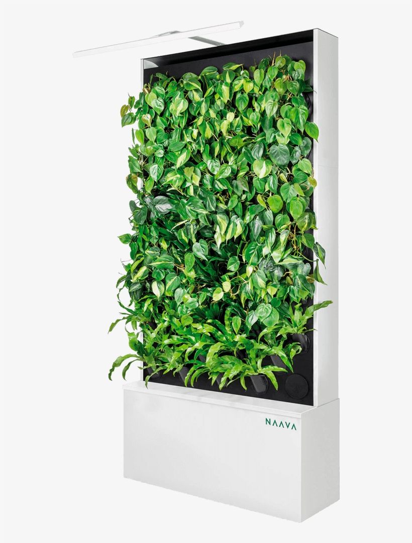Naava One White Oblique - Naava Green Wall, transparent png