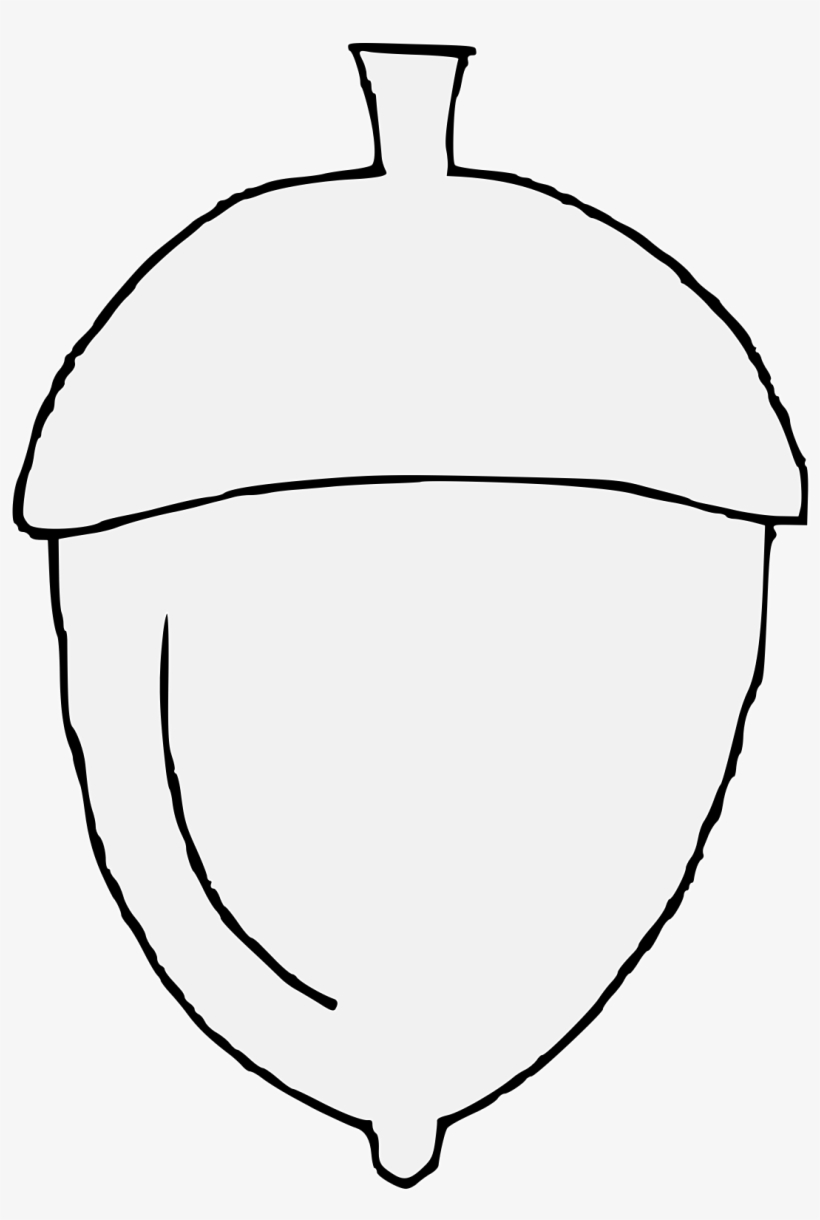 Acorn, transparent png