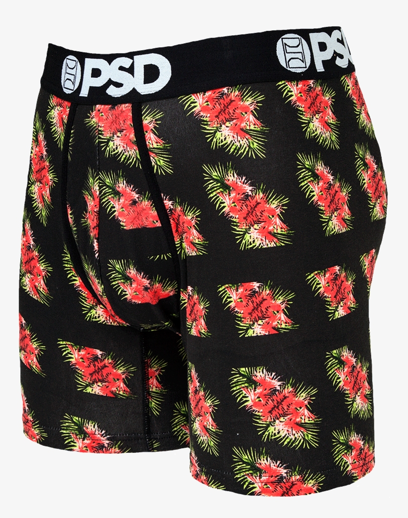 Kyrie Irving Mens Male Boxer Briefs Jocks Undies - Portable Network Graphics, transparent png