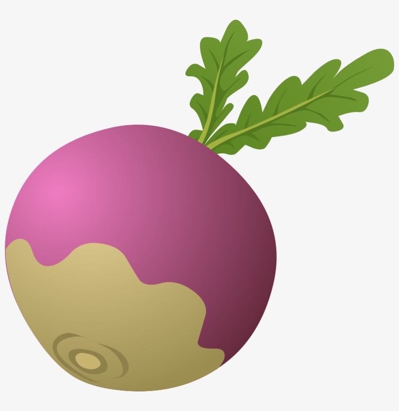 Beet Clipart Turnip - Turnip Clipart, transparent png
