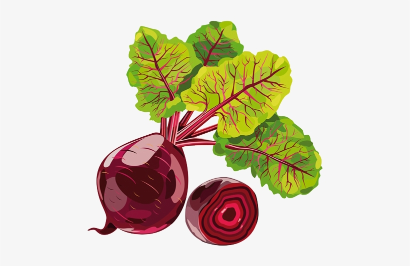 Beetroot Clipart Sugar Beet - Beetroot Png, transparent png