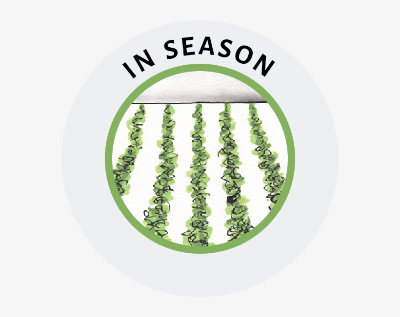 Icon In Season Website - Song, transparent png